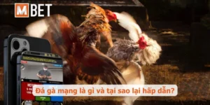 Đá gà mạng: Giải mã sức hút và bí quyết chinh phục kèo