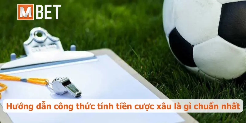Hướng dẫn công thức tính tiền cược xâu là gì chuẩn nhất