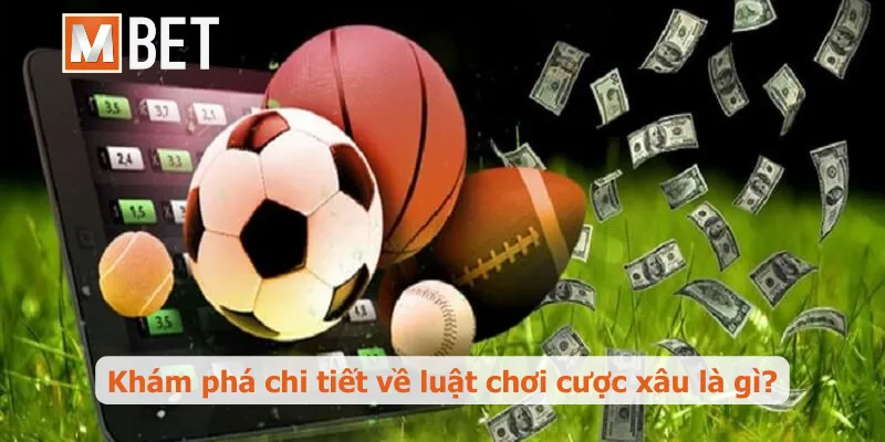 Cược xâu là gì? Toàn tập về cách chơi từ chuyên gia