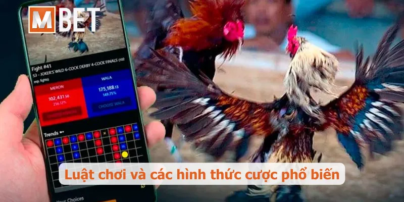 Luật chơi và các hình thức cược phổ biến