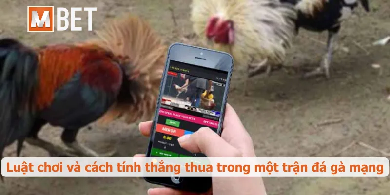 Luật chơi và cách tính thắng thua trong một trận đá gà mạng