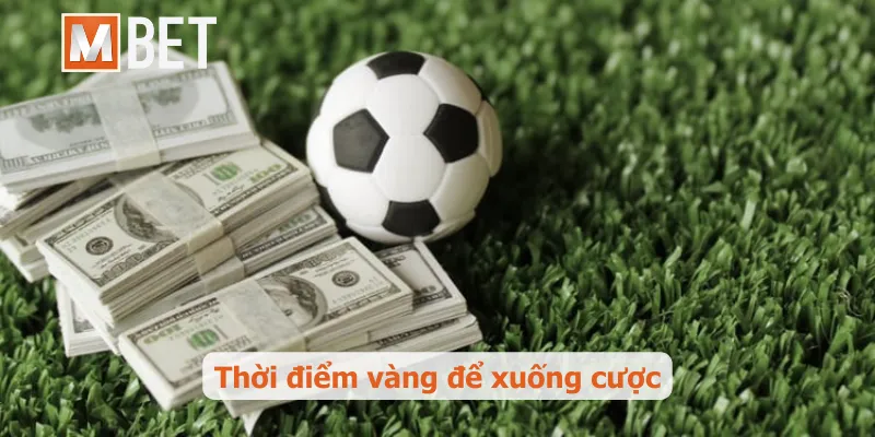 Thời điểm vàng để xuống cược