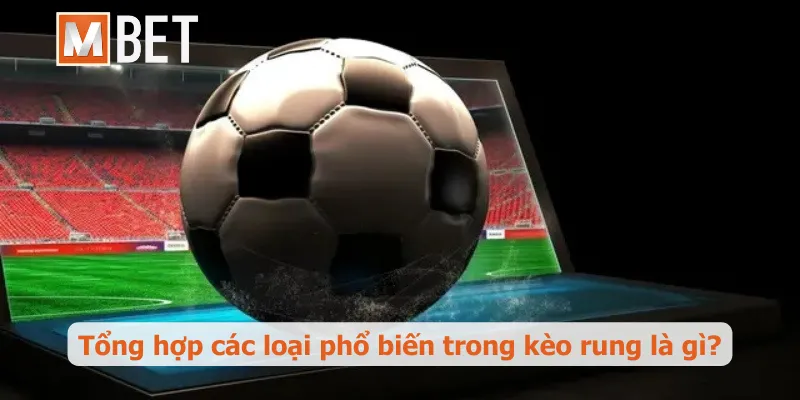 Tổng hợp các loại phổ biến trong kèo rung là gì?